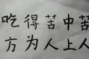 从吃得苦中苦到人上人（勇攀高峰，追寻人生巅峰）