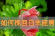 挽回白羊座的心，从自信开始（用自信和耐心重建爱情关系，成为白羊座心中永不褪色的存在）