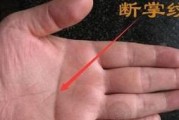 揭秘以断掌感情线的含义（从手相角度解读你的感情运势）