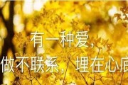 如何用撩人情话给男朋友送上甜蜜爱意（15句必学情话，让男友心醉如酥）