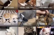 恋爱课教不了的事情（探索真正的爱情世界，经历成长的过程）