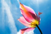 挽回男友的情话高情商幽默方法：不要让爱情失去方向