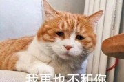 面对男友失去感觉，你需要做的7件事（如何重建爱情，让他重新爱上你）