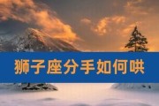 狮子座的爱情自我修养（以狮子座会主动挽回为例，揭秘星座之间的感情博弈）
