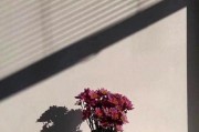 如何掌握挽回爱情的主动权（平稳突破友谊区，重燃爱情的激情）