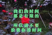 妻子如何挽回离婚的丈夫（以前妻后悔后的具体行动与技巧，）