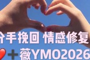 如何分清类别，有效挽回前男友（掌握技巧，成功复合真爱）